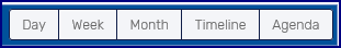 Calendar_View
